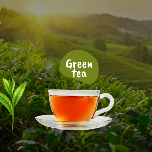 Discover the Best Green Tea for Fat Loss!