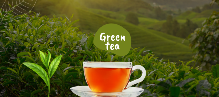 Discover the Best Green Tea for Fat Loss!